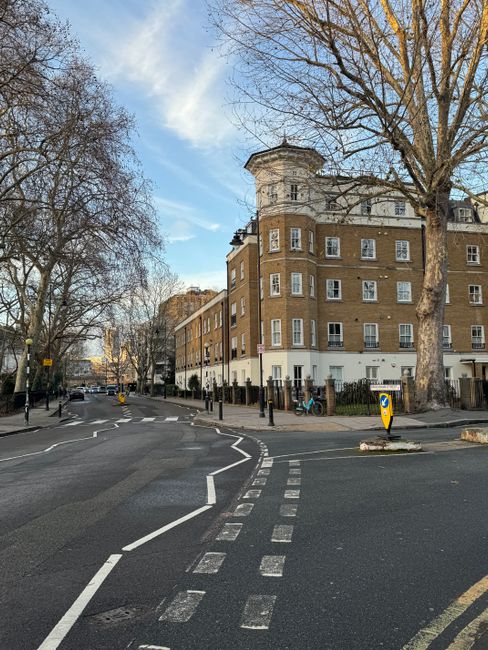 A wide view of a city street corner during daylight with a large, multi-story brick building on the right, featuring numerous white-framed windows and a rounded turret at the corner. In the foreground, there is a pedestrian crossing with white dashed and solid lines on the asphalt. To the right of the crossing, a yellow and blue traffic bollard is positioned on a small traffic island, which is surrounded by a paved sidewalk with black metal fencing. On the left, a row of leafless trees stretches along the street, their bare branches extending into the clear blue sky with some wispy clouds. The street appears relatively quiet, with no visible vehicles or pedestrians. The environment suggests an urban area with public infrastructure suitable for city or residential settings, and the scene fits within the context of managing road access and potential nearby waste collection points, in line with services offered by Rubbish Removal Hammersmith.